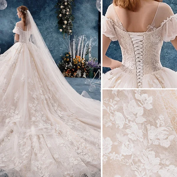 Fabulous Ivory Wedding Dresses 2019 A-Line / Princess V-Neck Pearl Appliques Lace Flower Short Sleeve Backless Royal Train