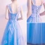Chic / Beautiful Sky Blue Evening Dresses  2018 A-Line / Princess Appliques Shoulders Backless Sleeveless Floor-Length / Long Formal Dresses