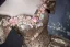Charming Bling Bling Gold Glitter Pearl Appliques Lace Flower Prom Dresses 2024 Ball Gown Off-The-Shoulder Short Sleeve Backless Floor-Length / Long