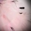 Fashion Blushing Pink Tassel Pearl Rhinestone Cascading Ruffles Prom Dresses 2024 Ball Gown Strapless Sleeveless Backless Floor-Length / Long Prom Formal Dresses