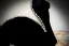 Elegant Black Glitter Pearl Rhinestone Prom Dresses 2024 Ball Gown Off-The-Shoulder Short Sleeve Backless Prom Floor-Length / Long Formal Dresses