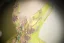 Chic / Beautiful Sage Green Beading Sequins Appliques Prom Dresses 2024 Ball Gown V-Neck Sleeveless Backless Floor-Length / Long Prom Formal Dresses