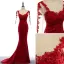 Modern / Fashion Evening Dresses  2017 Scoop Neck Appliques 3/4 Sleeve Trumpet / Mermaid Lace Formal Dresses