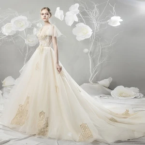 Moderne Mode Champagne Robe De Mariée 2018 Robe Boule En Dentelle Appliques Brodé V Cou Dos Nu Manches Courtes Chapel Train Mariage