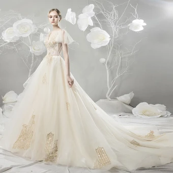 Modern Fashion Champagne Wedding Dresses 2018 Ball Gown Lace Appliques Embroidered V Neck Backless Short Sleeve Chapel Train Wedding