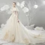 Modern / Fashion Champagne Wedding Dresses 2018 Ball Gown Lace Appliques Embroidered V-Neck Backless Short Sleeve Chapel Train Wedding