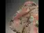 Vintage / Originale Style Chinois Rougissant Rose Perlage Paillettes Cheongsam Robe De Soirée 2024 Trompette / Sirène Col Haut Manches Courtes Dos Nu Train De Balayage Fendue devant Robe De Ceremonie