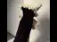 Sexy Schwarz Abendkleider 2024 Meerjungfrau Bandeau Ärmellos Rückenfreies Schleife Sweep / Pinsel Zug Festliche Kleider