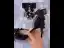 Charmant Noire Perle Noeud Bride Cheville Promo Sandales Femme 2024 9 cm Talons Aiguilles À Bout Pointu Sandales Talons Hauts