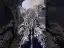 Vintage / Retro High-end Navy Blue Pearl Lace Flower Prom Dresses 2023 Ball Gown Off-The-Shoulder Sleeveless Backless Sweep Train Prom Formal Dresses