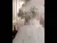 Elegant White Appliques Cascading Ruffles Prom Dresses 2024 A-Line / Princess Spaghetti Straps Short Sleeve Backless Sweep Train Prom Prom Dresses