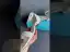 Modest / Simple White Satin Pearl Ankle Strap Flat Wedding Shoes 2024 Pointed Toe Wedding Sandals