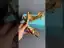 Modest / Simple Gold Rhinestone Prom Womens Sandals 2024 5 cm Stiletto Heels Pointed Toe Sandals High Heels