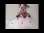 Flower Fairy Blushing Pink White Flower Girl Dresses 2019 Ball Gown Off-The-Shoulder Short Sleeve Glitter Polyester Appliques Flower Floor-Length / Long Ruffle Backless Wedding Party Dresses