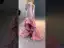 High-end Flower Fairy Blushing Pink Appliques Asymmetrical Prom Dresses 2024 Trumpet / Mermaid Strapless Long Sleeve Backless Prom Formal Dresses