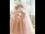 Flower Fairy Blushing Pink Appliques Birthday Flower Girl Dresses 2024 Ball Gown Spaghetti Straps Short Sleeve Backless Floor-Length / Long