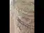 Haut de Gamme Champagne Transparentes Robe De Soirée Avec Châle 2019 Trompette / Sirène Encolure Dégagée Sans Manches Fait main Perlage Train De Balayage Volants Robe De Ceremonie