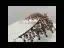Vintage Barokk Svart Tiara 2019 Metall Beading Rhinestone Har Tilbehor