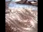 High-end Gold Evening Dresses  2020 Trumpet / Mermaid Scoop Neck Sleeveless Beading Floor-Length / Long Formal Dresses