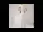 Scintillantes Blanche Transparentes Robe De Soirée 2020 Trompette / Sirène Col Haut Gland Manches Longues Noeud Ceinture Faux Diamant Longue Robe De Ceremonie