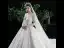 Charmant Champagne Transparentes Robe De Mariée 2020 Robe Boule Encolure Dégagée Manches Longues Dos Nu Glitter Tulle Appliques En Dentelle Perlage Royal Train Volants