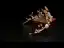 Eleganta Guld Brudsmycken 2020 Legering Zirkon Pärla Rhinestone Tiara Tassel Örhängen Brud Tillbehör