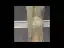 Haut de Gamme Champagne Gris Transparentes Robe De Soirée 2020 Trompette / Sirène Encolure Dégagée Manches Longues Fait main Perlage Train De Balayage Robe De Ceremonie