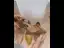 Abordable Noire Désinvolte Chaussures Femmes 2020 9 cm Talons Aiguilles À Bout Pointu Talons