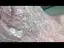 Fashion Blushing Pink See-through Homecoming Graduation Dresses 2020 A-Line / Princess Scoop Neck Short Sleeve Feather Appliques Flower Beading Short Ruffle Backless Formal Dresses