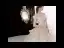 Luxe Champagne La Mariée Robe De Mariée 2020 Robe Boule De l'épaule Manches Courtes Dos Nu Glitter Tulle Perlage Appliques En Dentelle Royal Train Volants