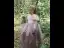 Charmant Rougissant Rose Faux Diamant Paillettes Volants en Cascade Anniversaire Robe Ceremonie Fille 2023 Princesse Encolure Carrée Manches Courtes Thé Longueur Robe Ceremonie Fille