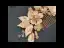 Chic / Beautiful Gold Hair Comb Wedding Accessories 2020 Alloy Crystal Rhinestone Bridal Hair Accessories