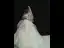 Illusion White See-through Bridal Wedding Dresses 2020 Ball Gown Scoop Neck 3/4 Sleeve Backless Beading Appliques Lace Cathedral Train Ruffle