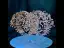 Chic / Belle Doré Fait main Faux Diamant Alliage Accessoire Cheveux Mariage 2023