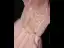Fine Perle Rosa Brudepikekjoler 2020 Prinsesse Ryggløse Beading Glitter Tyll Lange Buste