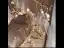 Charmant Doré Bijoux Mariage 2020 Alliage Perle Tiare Gland Boucles D'Oreilles Accessoire Cheveux Mariage