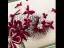 Fashion Burgundy Velour Flower Bridal Jewelry 2020 Rhinestone Pearl Earrings Headpieces Accessories Bridal Hair Accessories