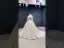 Amazing / Unique Multi-Colors Bridal Wedding Dresses 2020 Ball Gown See-through Scoop Neck Long Sleeve Beading Sequins Chapel Train Ruffle