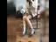 Enkla Aprikos / Beige Casual Mocka Pumps 2020 6 cm Tjocka Klackar Spetsiga Pumps