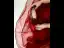 Chinese style Red Lace Appliques Wedding Shoes 2020 Leather Rhinestone 8 cm Thick Heels Pointed Toe Wedding Pumps
