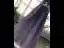 Elegant Royal Blue Dancing Prom Dresses 2020 A-Line / Princess Spaghetti Straps Sleeveless Beading Sequins Glitter Tulle Floor-Length / Long Ruffle Backless Formal Dresses
