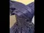 Vintage / Retro Navy Blue Beading Sequins Prom Dresses 2025 Ball Gown Off-The-Shoulder Short Sleeve Backless Floor-Length / Long Formal Dresses