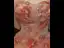 Flower Fairy Blushing Pink Beading Appliques Cascading Ruffles Prom Dresses 2025 Ball Gown Strapless Sleeveless Backless Floor-Length / Long Formal Dresses