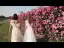 Elegant Champagne White Bridesmaid Dresses 2018 A-Line / Princess Off-The-Shoulder Short Sleeve Pearl Sash Backless Wedding Party Dresses