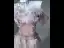 Chic / Beautiful Blushing Pink Sequins Lace Flower Butterfly Appliques Prom Dresses 2026 A-Line / Princess Off-The-Shoulder Short Sleeve Backless Floor-Length / Long Formal Dresses