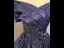 Vintage / Retro Navy Blue Beading Pearl Sequins Prom Dresses 2026 Ball Gown Off-The-Shoulder Short Sleeve Backless Floor-Length / Long Formal Dresses