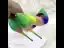 Inhabituel Multi-Couleurs Griffonnage Promo Escarpins Talons Hauts 2022 12 cm Talons Aiguilles À Bout Pointu Escarpins
