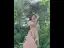 Chic / Belle Rougissant Rose Anniversaire Robe De Fête 2022 Princesse Encolure Carrée Gonflée Manches Courtes Dos Nu Longue Robe De Ceremonie