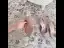 Charmant Beige Faux Diamant Paillettes Chaussure De Mariée 2021 Cuir 4 cm Talon Bas Talons Aiguilles À Bout Pointu Mariage Talons Hauts