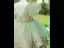 Chic / Beautiful Sage Green Flower Prom Short Flower Girl Dresses 2022 Ball Gown Pearl Scoop Neck Puffy Short Sleeve Backless Flower Girl Dresses